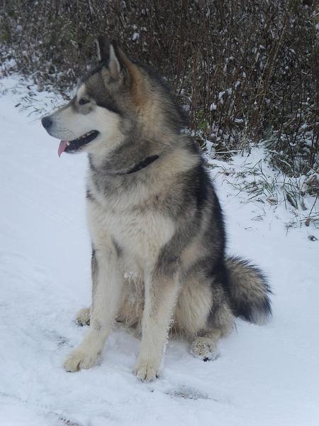 scout 12-2010 4.jpg